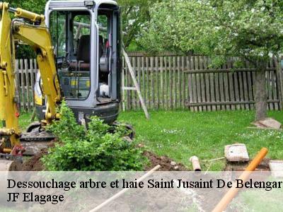 Dessouchage arbre et haie  saint-jusaint-de-belengard-11240 JF Elagage