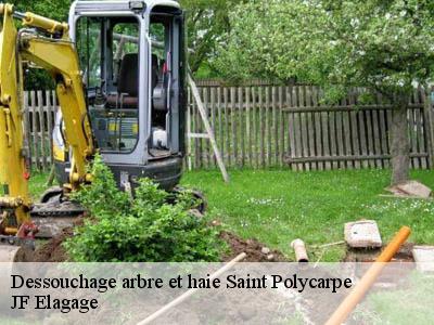 Dessouchage arbre et haie  saint-polycarpe-11300 JF Elagage