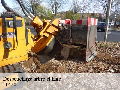 Dessouchage arbre et haie  saint-sernin-11420 JF Elagage