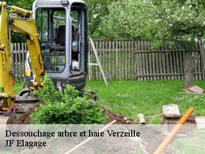 Dessouchage arbre et haie  verzeille-11250 JF Elagage