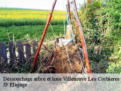 Dessouchage arbre et haie  villeneuve-les-corbieres-11360 JF Elagage