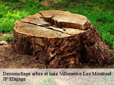 Dessouchage arbre et haie  villeneuve-les-montreal-11290 JF Elagage