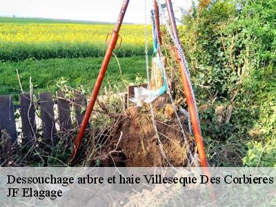 Dessouchage arbre et haie  villeseque-des-corbieres-11360 JF Elagage