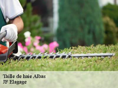 Taille de haie  albas-11360 JF Elagage