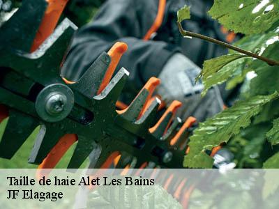 Taille de haie  alet-les-bains-11580 JF Elagage