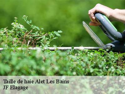 Taille de haie  alet-les-bains-11580 JF Elagage