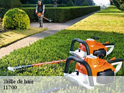 Taille de haie  azille-11700 JF Elagage