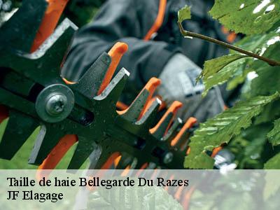 Taille de haie  bellegarde-du-razes-11240 JF Elagage