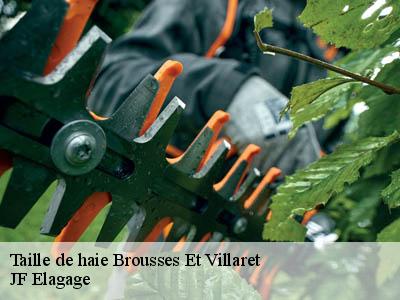 Taille de haie  brousses-et-villaret-11390 JF Elagage