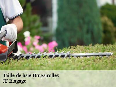 Taille de haie  brugairolles-11300 JF Elagage