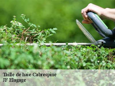 Taille de haie  cabrespine-11160 JF Elagage