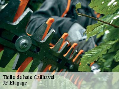 Taille de haie  cailhavel-11240 JF Elagage