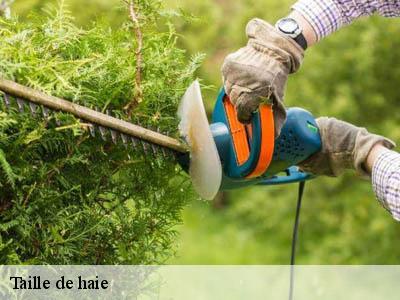 Taille de haie  cailhavel-11240 JF Elagage