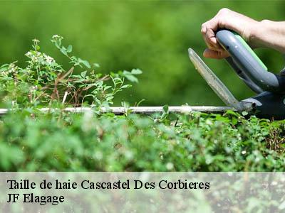 Taille de haie  cascastel-des-corbieres-11360 JF Elagage