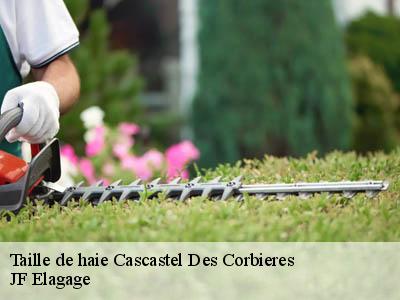 Taille de haie  cascastel-des-corbieres-11360 JF Elagage