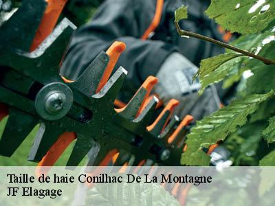 Taille de haie  conilhac-de-la-montagne-11190 JF Elagage