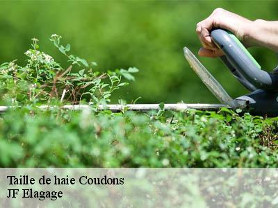 Taille de haie coudons-11500 JF Elagage