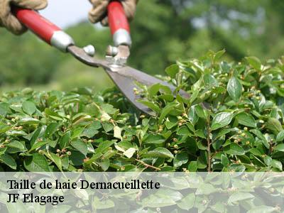 Taille de haie  dernacueillette-11330 JF Elagage