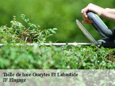 Taille de haie  gueytes-et-labastide-11230 JF Elagage