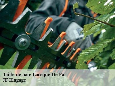 Taille de haie  laroque-de-fa-11330 JF Elagage