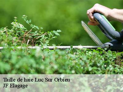 Taille de haie  luc-sur-orbieu-11200 JF Elagage
