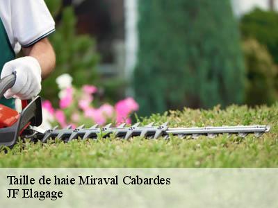 Taille de haie  miraval-cabardes-11380 JF Elagage