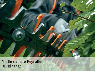 Taille de haie  peyrolles-11190 JF Elagage