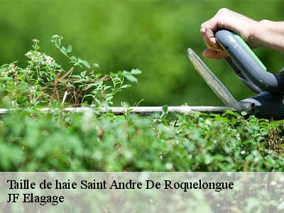 Taille de haie  saint-andre-de-roquelongue-11200 JF Elagage