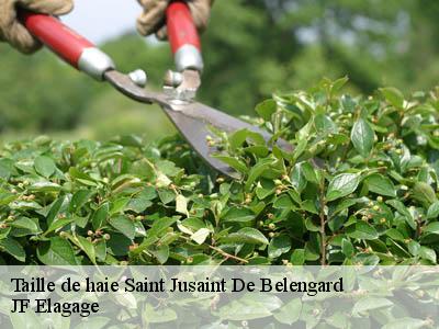 Taille de haie  saint-jusaint-de-belengard-11240 JF Elagage