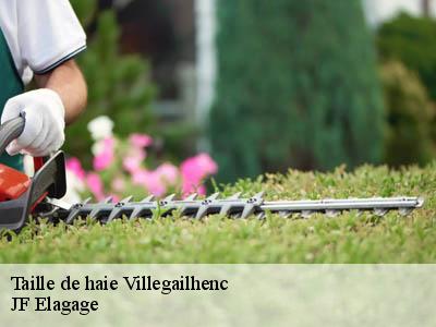 Taille de haie  villegailhenc-11600 JF Elagage