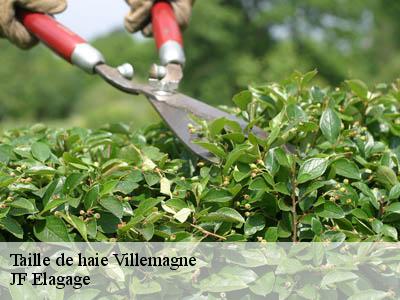 Taille de haie  villemagne-11310 Jardin Paysage