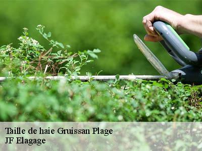 Taille de haie  gruissan-plage-11430 JF Elagage