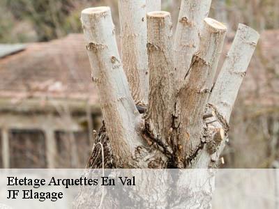 Etetage  arquettes-en-val-11220 JF Elagage