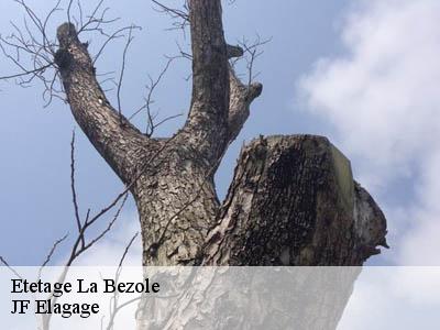 Etetage  la-bezole-11300 JF Elagage