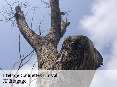 Etetage  caunettes-en-val-11220 JF Elagage