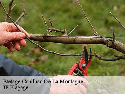 Etetage  conilhac-de-la-montagne-11190 JF Elagage
