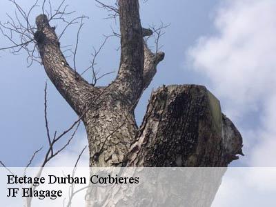 Etetage  durban-corbieres-11360 DEBORD Elagage 11