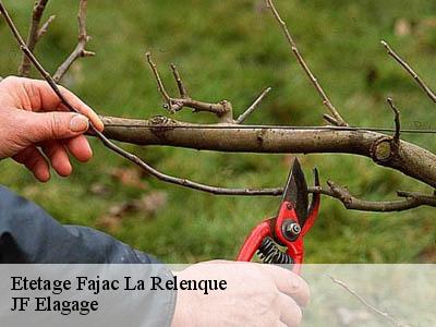 Etetage fajac-la-relenque-11410 LAFLEUR Tchino