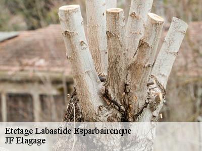 Etetage  labastide-esparbairenque-11380 JF Elagage