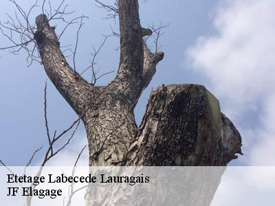 Etetage  labecede-lauragais-11400 DEBORD Elagage 11