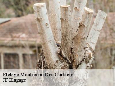 Etetage  montredon-des-corbieres-11100 JF Elagage