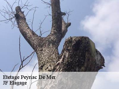 Etetage  peyriac-de-mer-11440 Jardin Paysage