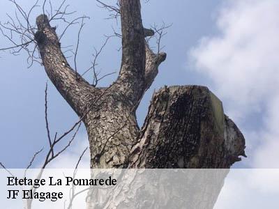 Etetage  la-pomarede-11400 JF Elagage