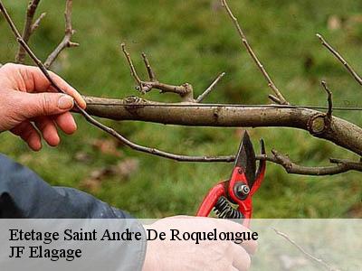 Etetage  saint-andre-de-roquelongue-11200 JF Elagage