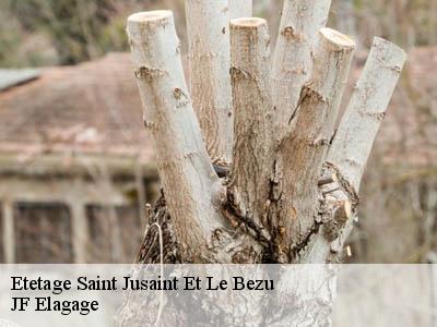 Etetage  saint-jusaint-et-le-bezu-11500 JF Elagage