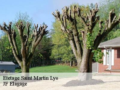Etetage  saint-martin-lys-11500 JF Elagage