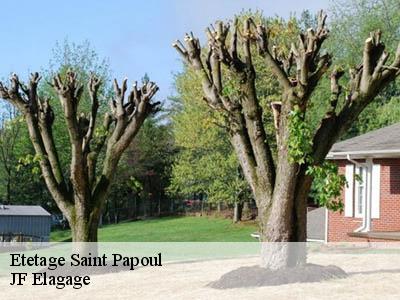 Etetage  saint-papoul-11400 JF Elagage