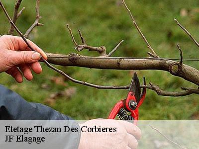 Etetage  thezan-des-corbieres-11200 JF Elagage