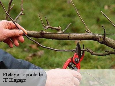 Etetage  lapradelle-11140 JF Elagage