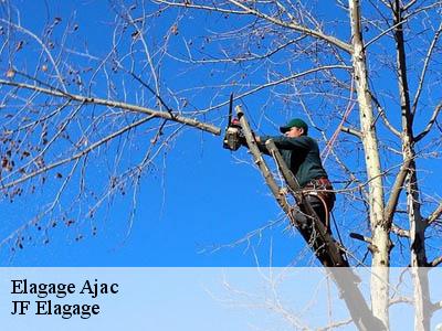 Elagage  ajac-11300 Jardin Paysage